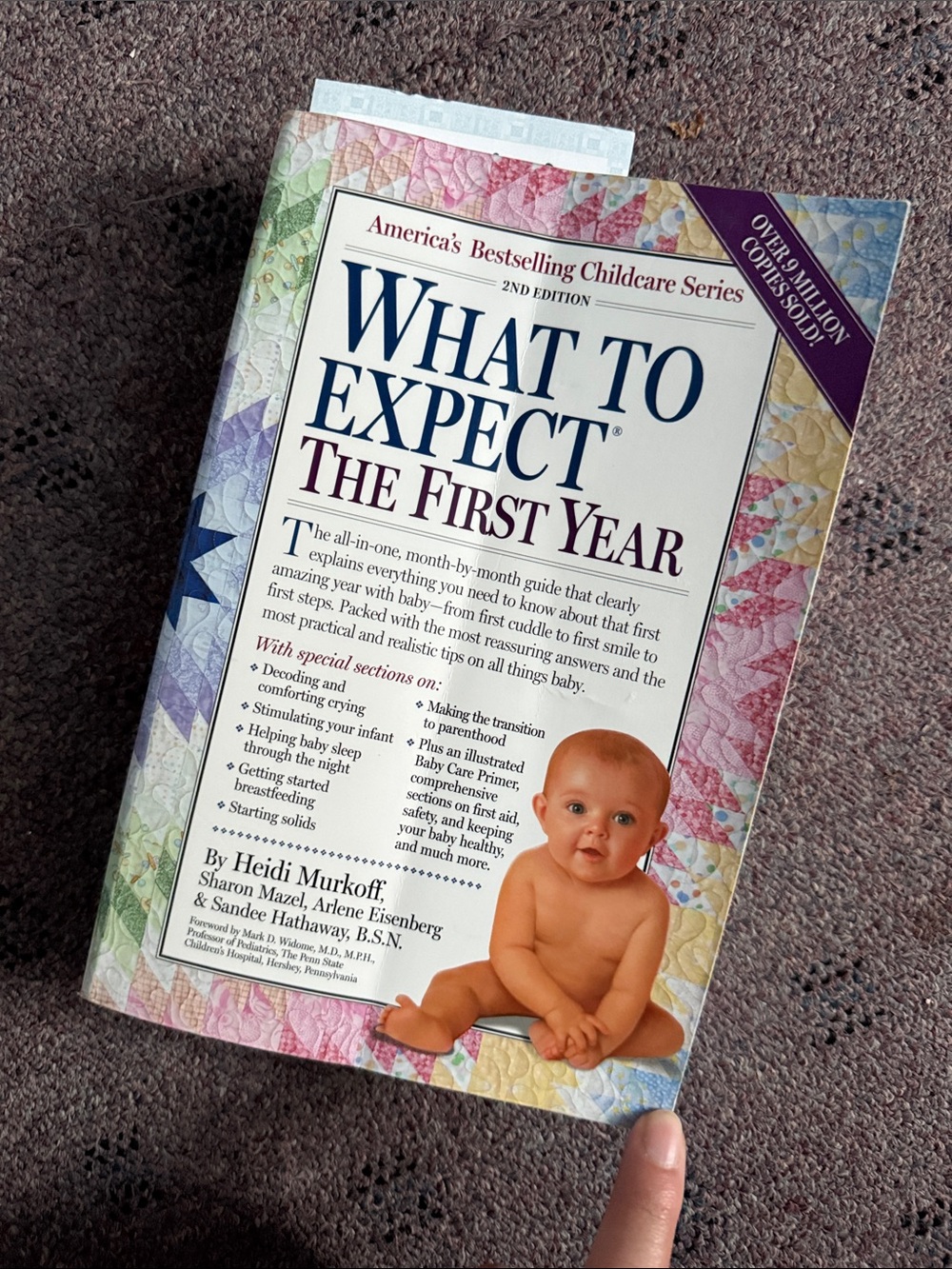 What to Expect the First Year Book